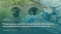 Утверждены состав и содержание заключения государственной экологической экспертизы